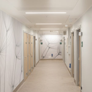 Degenza Humanitas Cellini